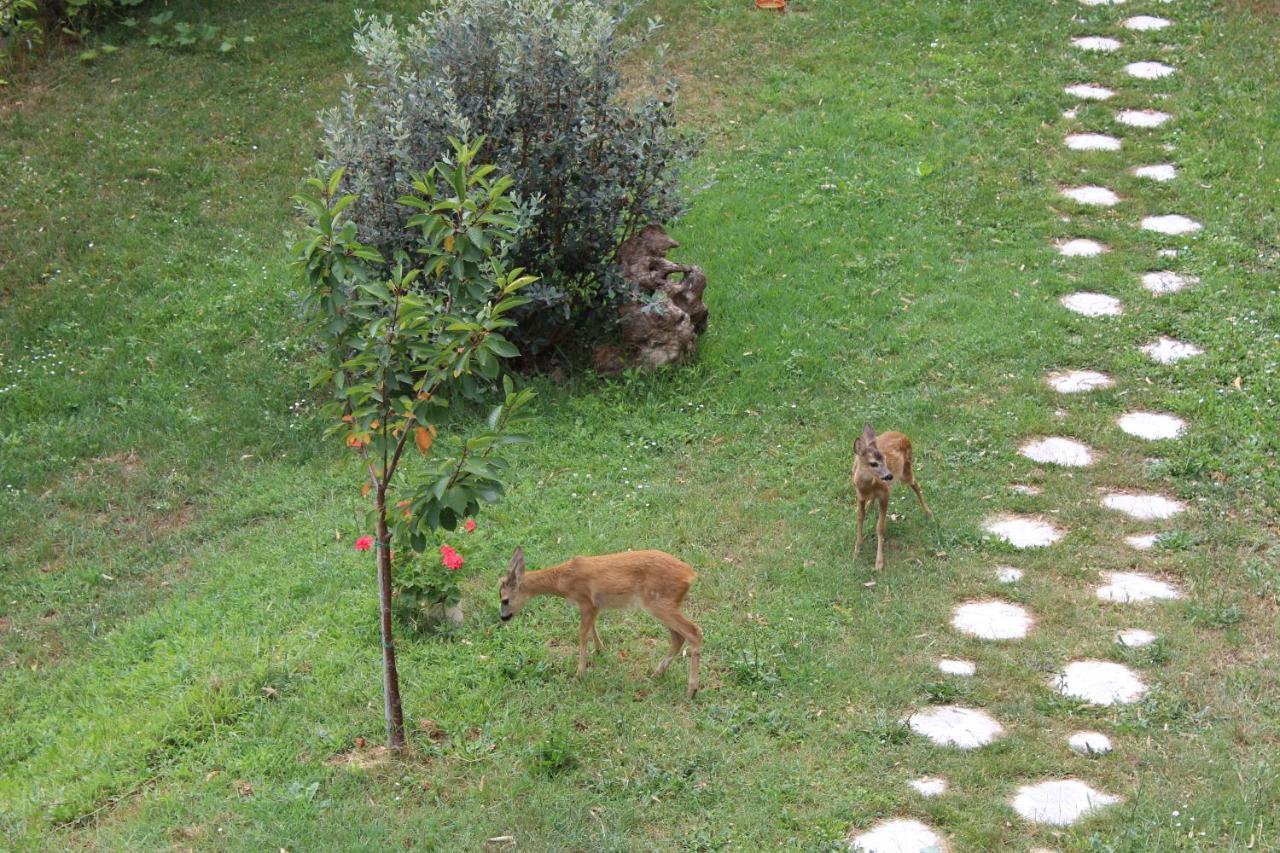 مبيت وإفطار فينالي ليغوري Segni E Impronta المظهر الخارجي الصورة